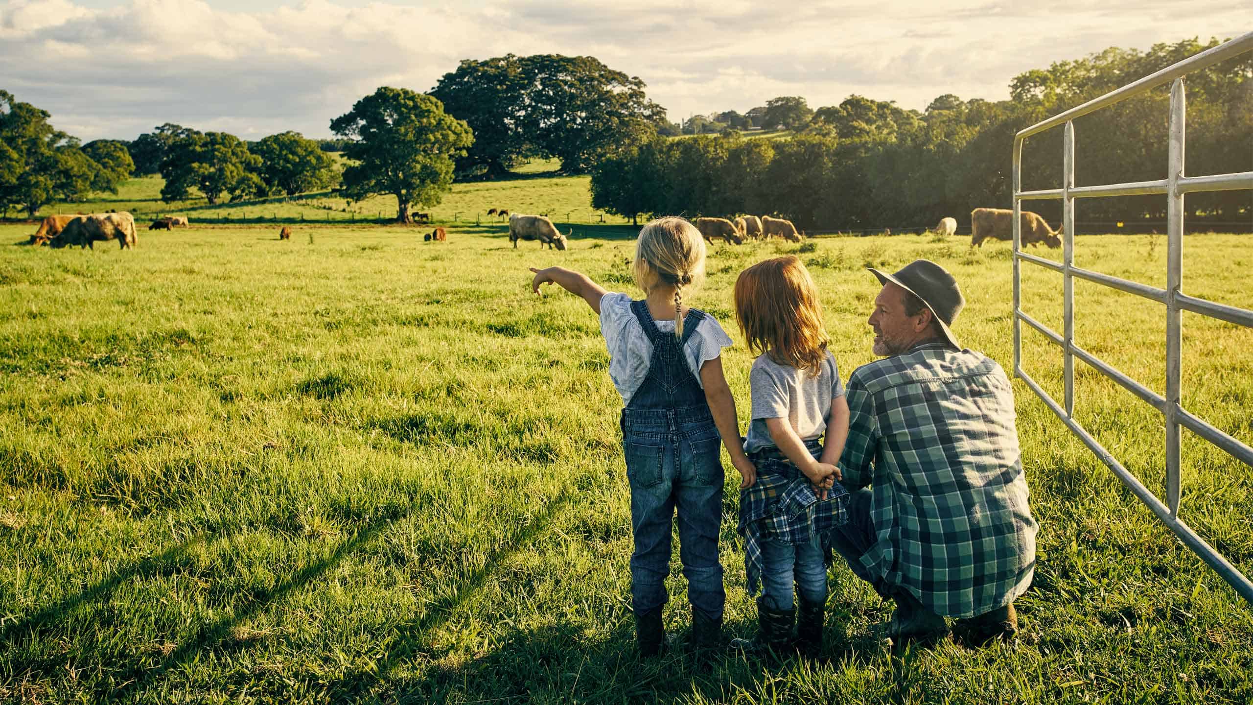 2560x1440 The Benefits of Living in the Country's Backyard Life