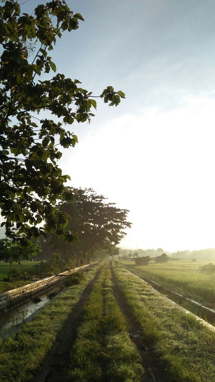 736x1305 Country Life. Fotografi alam, Gambar alam, Pemandangan khayalan