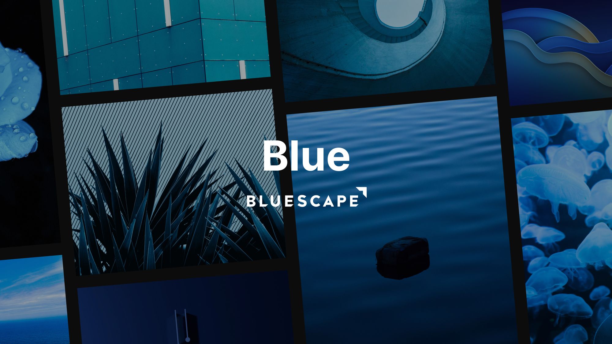 2000x1125 × Bluescape