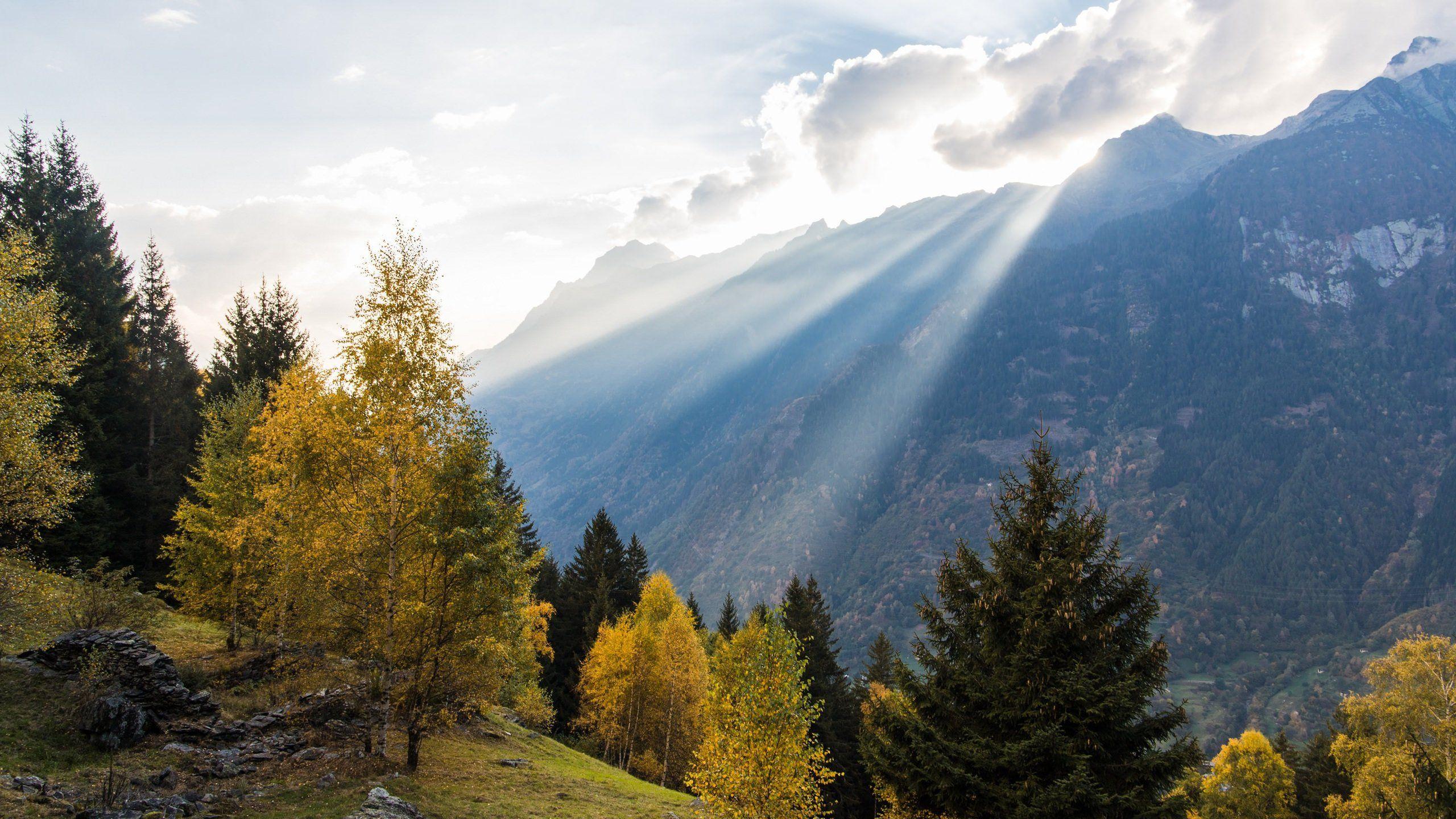 2560x1440 Fall in the Swiss Alps HD wallpaper