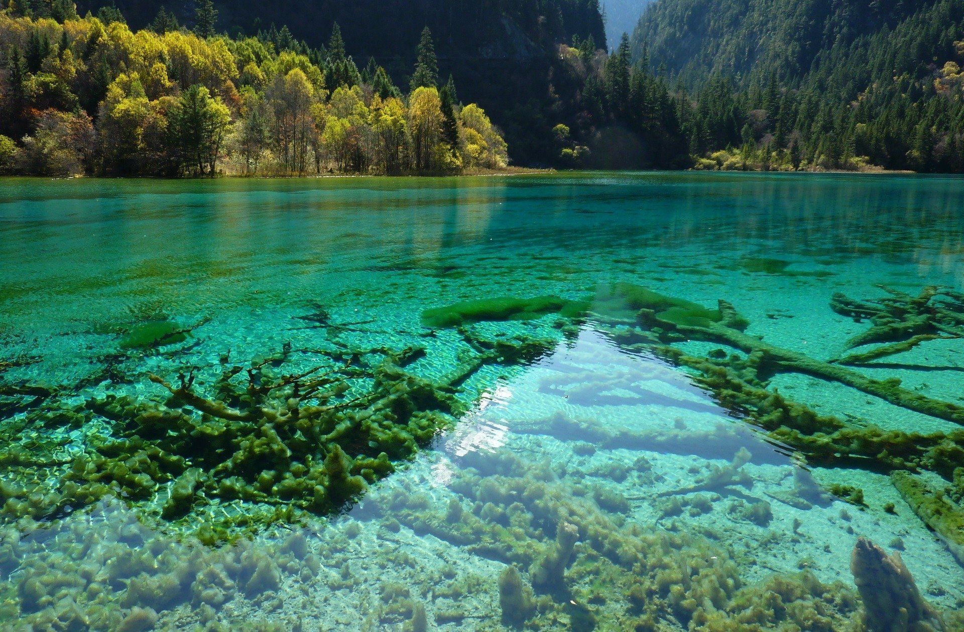 1920x1260 Download China Sichuan Jiuzhaigou Park Nature Lake HD Wallpaper
