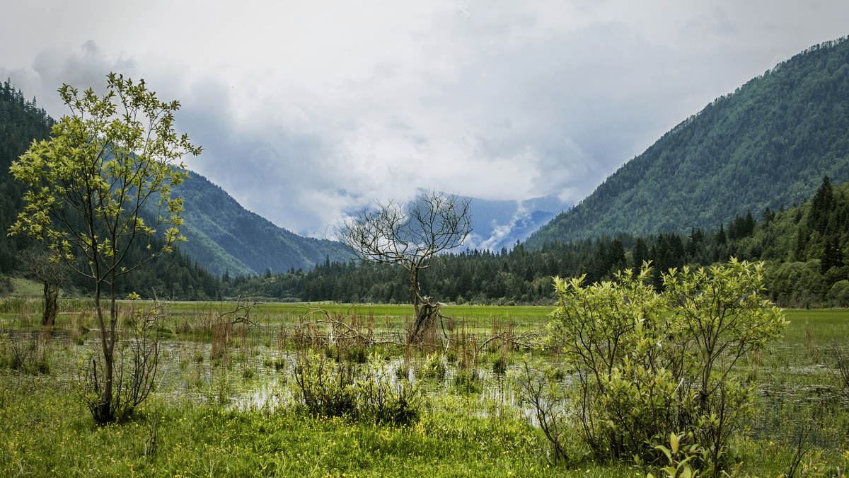 Sichuan Wallpapers - Top Free Sichuan Backgrounds - WallpaperAccess