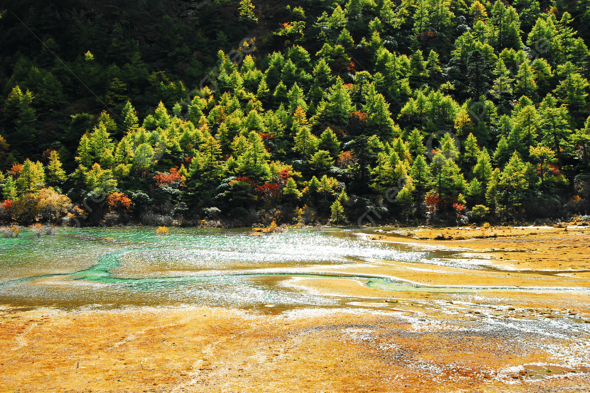 1200x800 The Scenery In The Mountains Of The Western Sichuan Plateau Background, Forest, Cedar, Lake Background Image And Wallpaper for Free Download