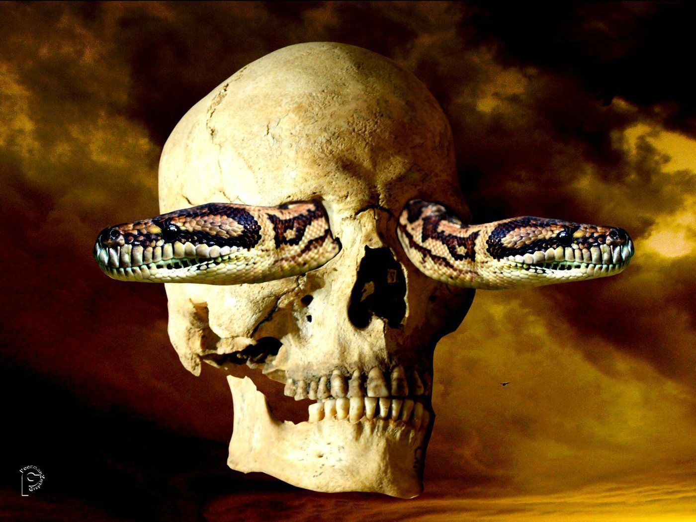 1400x1050 Totenkopf Wallpaper. .com