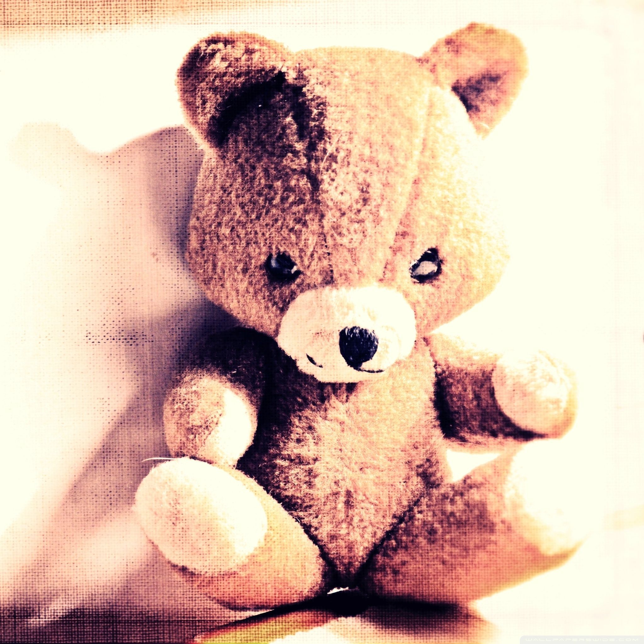 2048x2048 Teddy Bear Ultra HD Desktop Background Wallpaper for : Tablet
