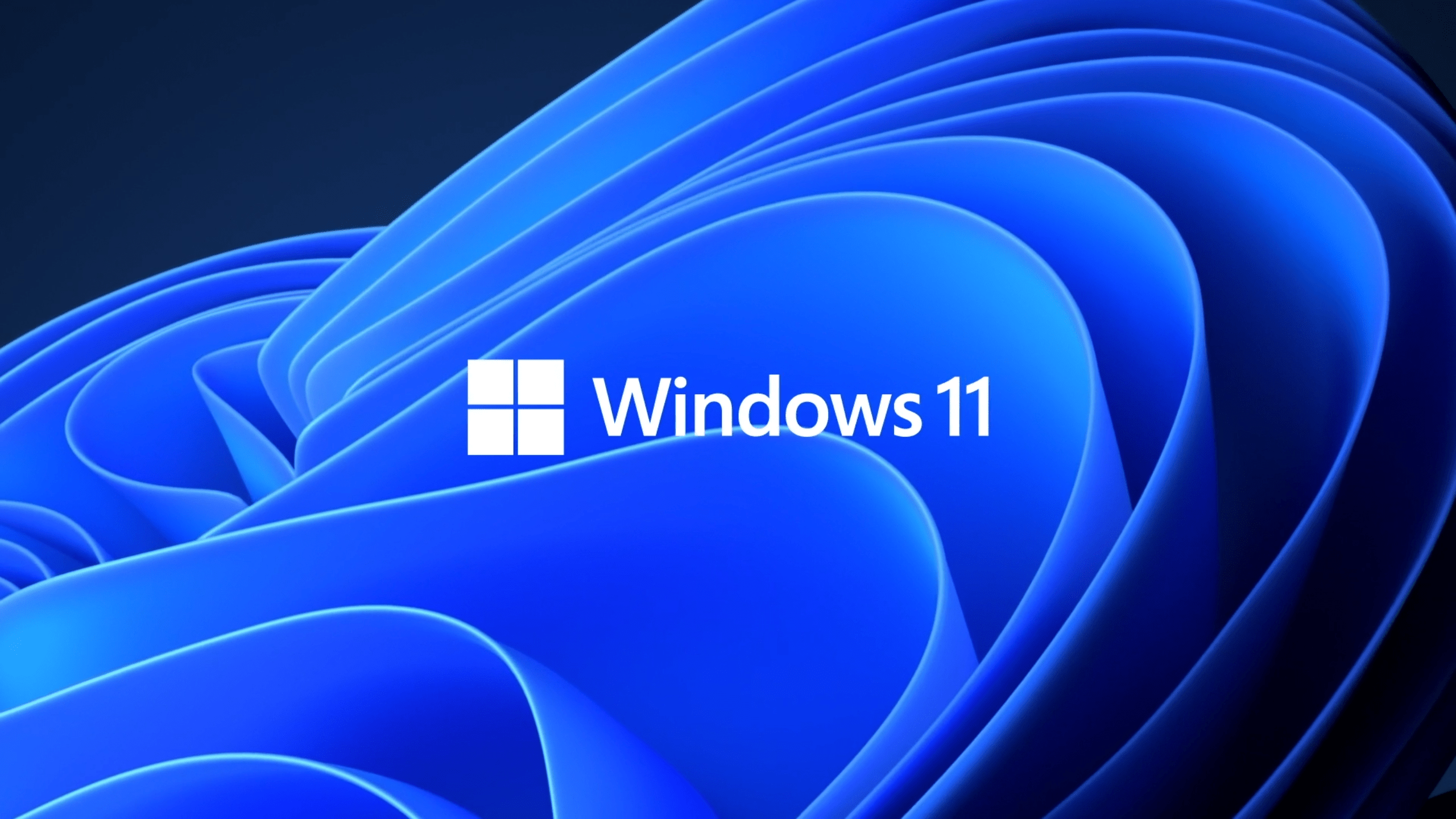 2560x1440 Windows 11 Ultra HD Wallpaper