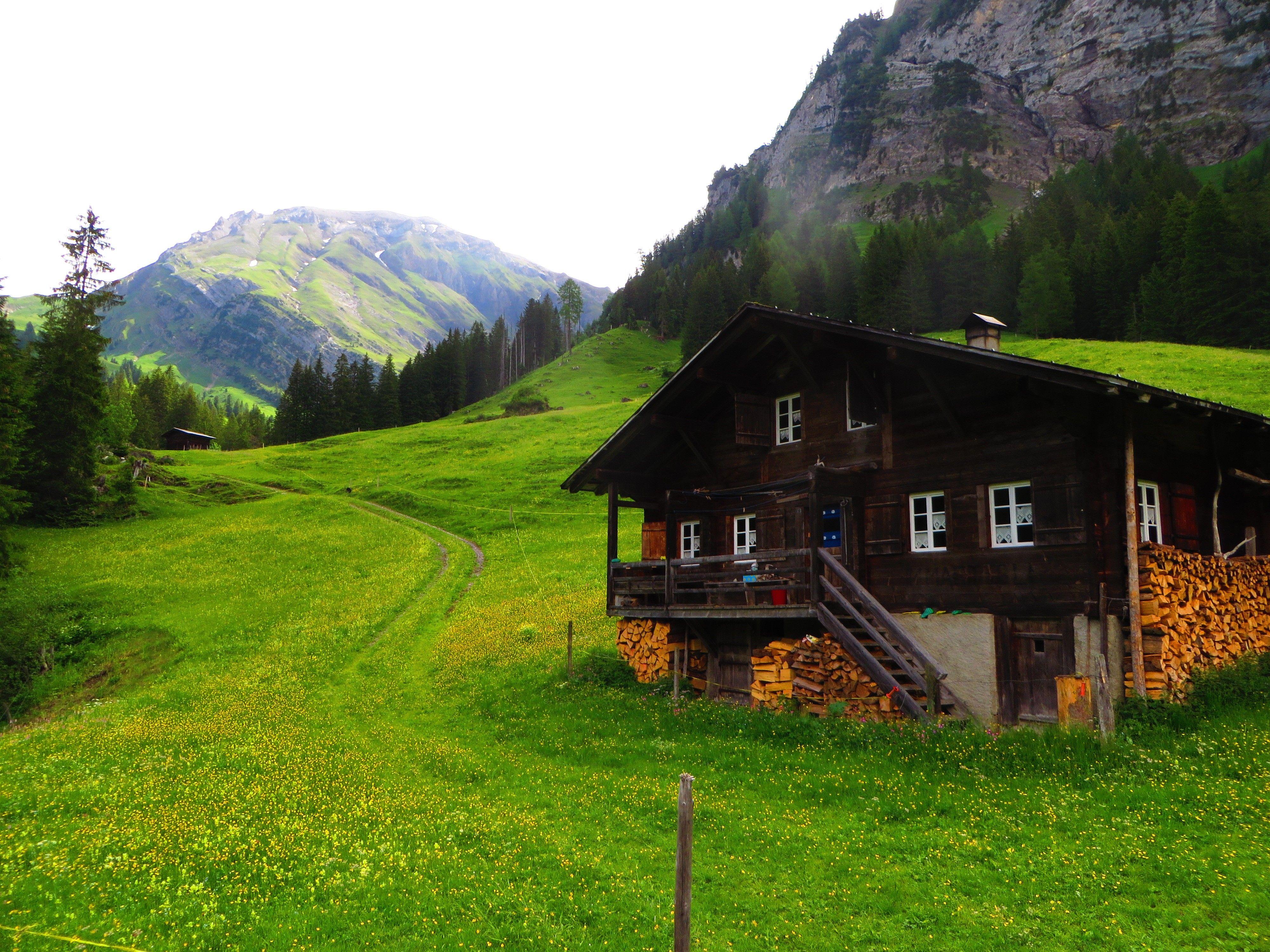 4000x3000 switzerland lenk chalet green grass pine trees