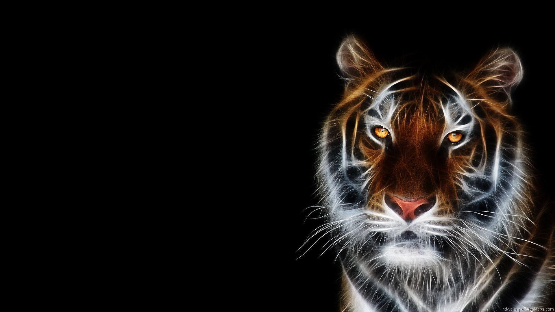 Animal Wallpapers - Top Free Animal Backgrounds - WallpaperAccess