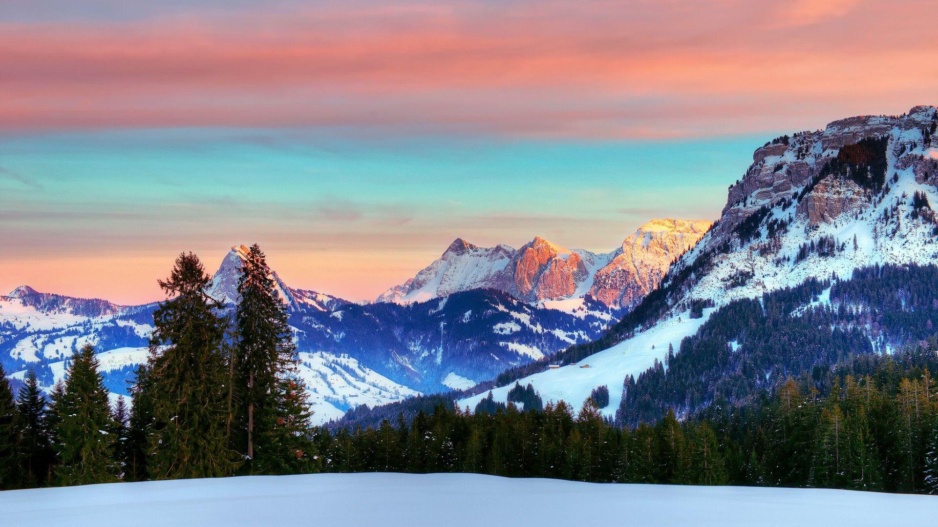 1920x1080 Download Wallpaper forest winter alps switzerland, 1920x1080