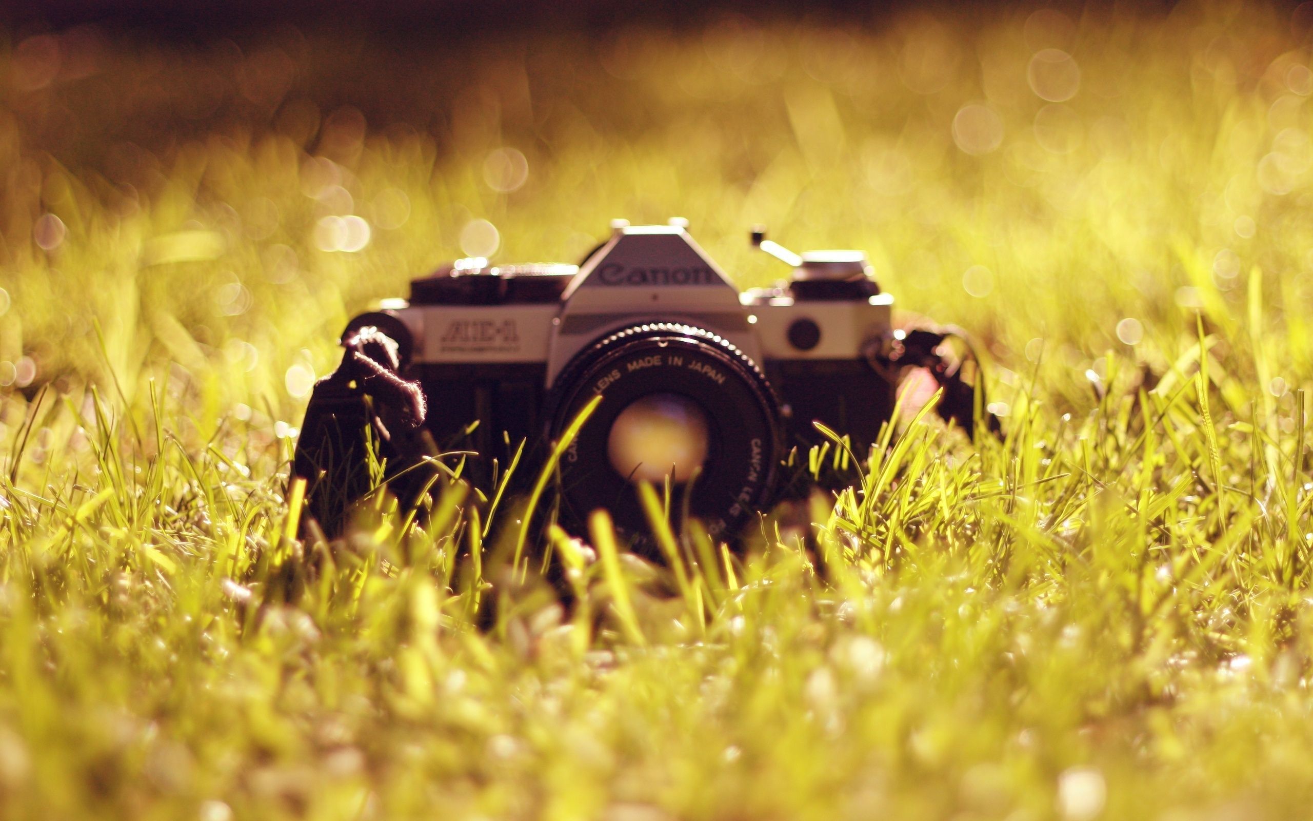 2560x1600 Canon HD Wallpaper and Background