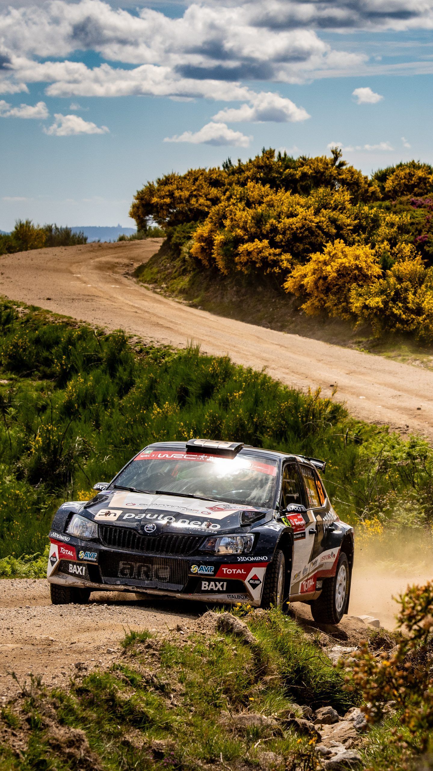 1440x2560 Download Rally de Portugal Wallpaper for Your Phone - Škoda Motorsport