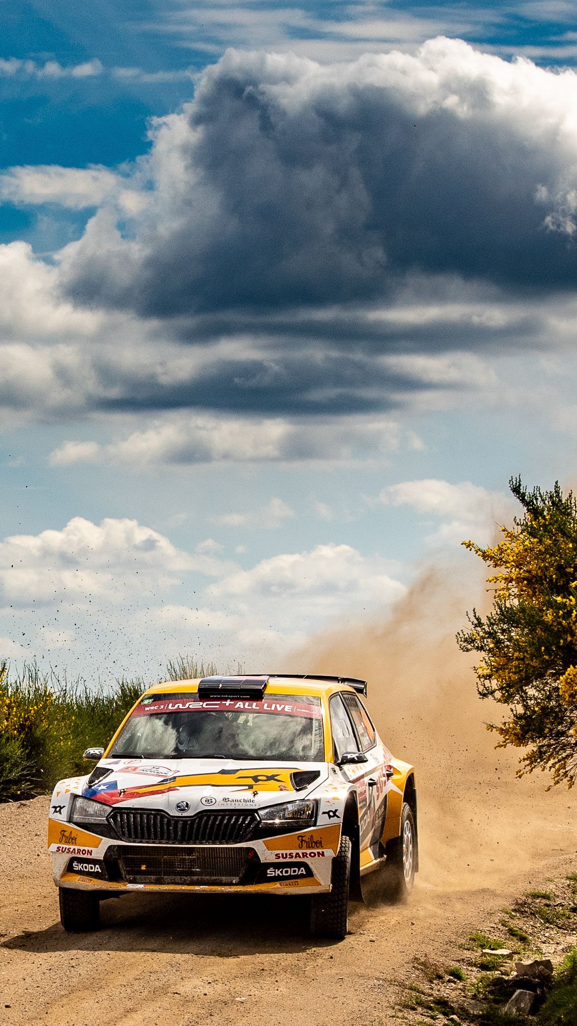 1144x2034 Download Rally de Portugal Wallpaper for Your Phone - Škoda Motorsport