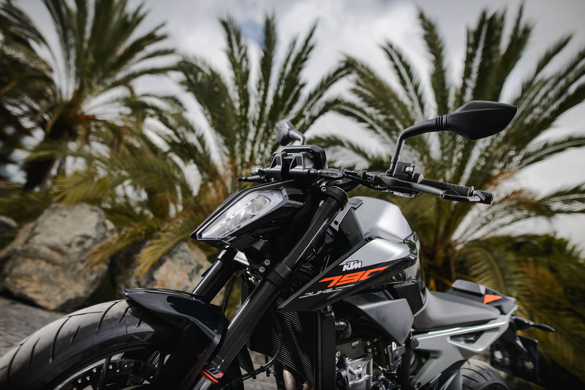 1920x1282 SavageDivision Duke 790