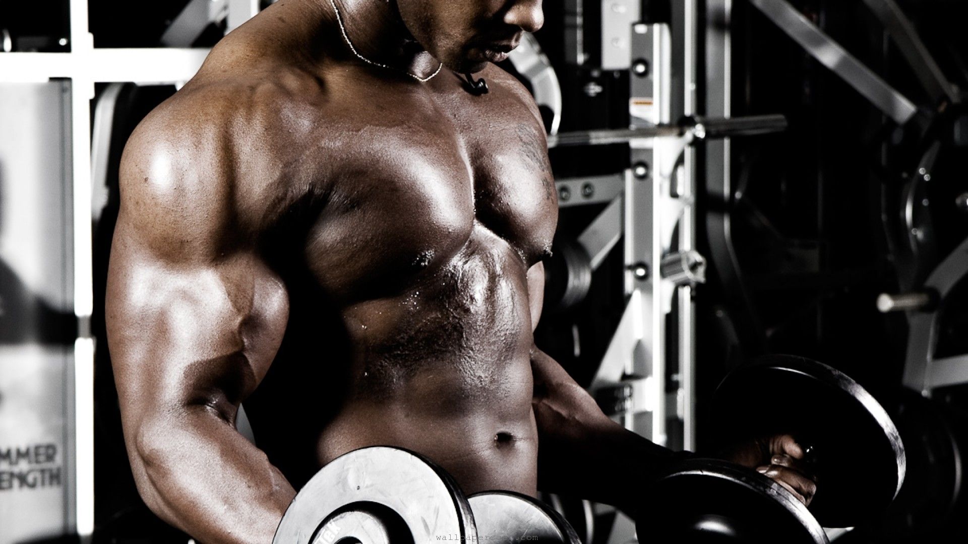 1920x1080 Sports Bodybuilding HD Wallpaper