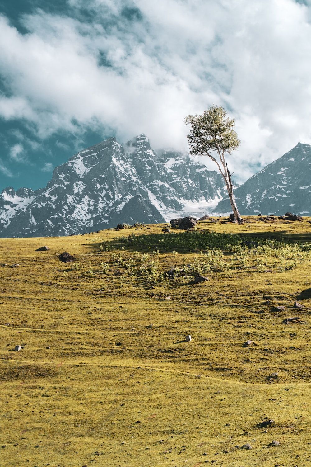 1000x1500 Snowy mountains behind valley photo