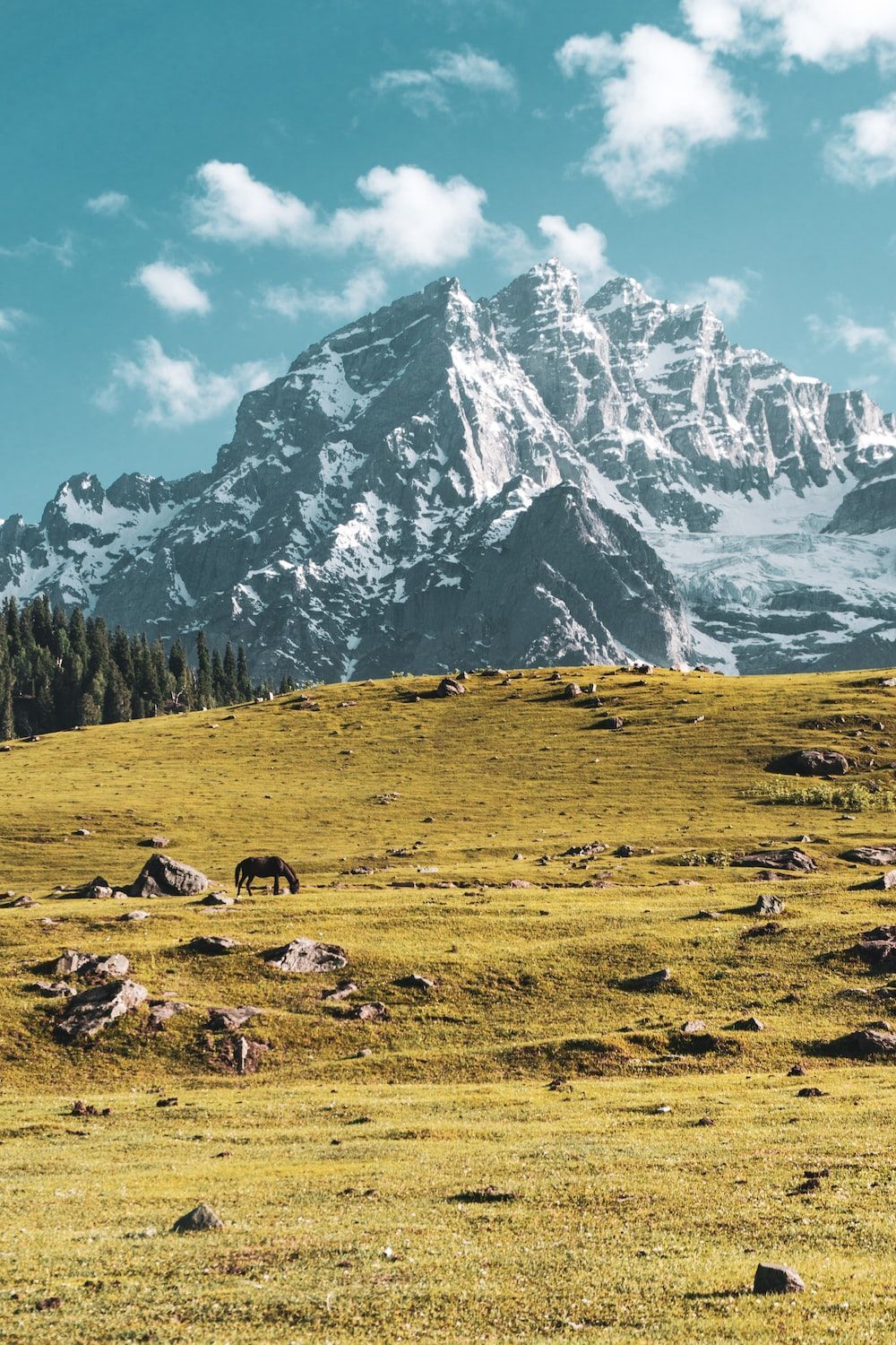 1000x1500 Green hill and snowy mountains during daytime photo
