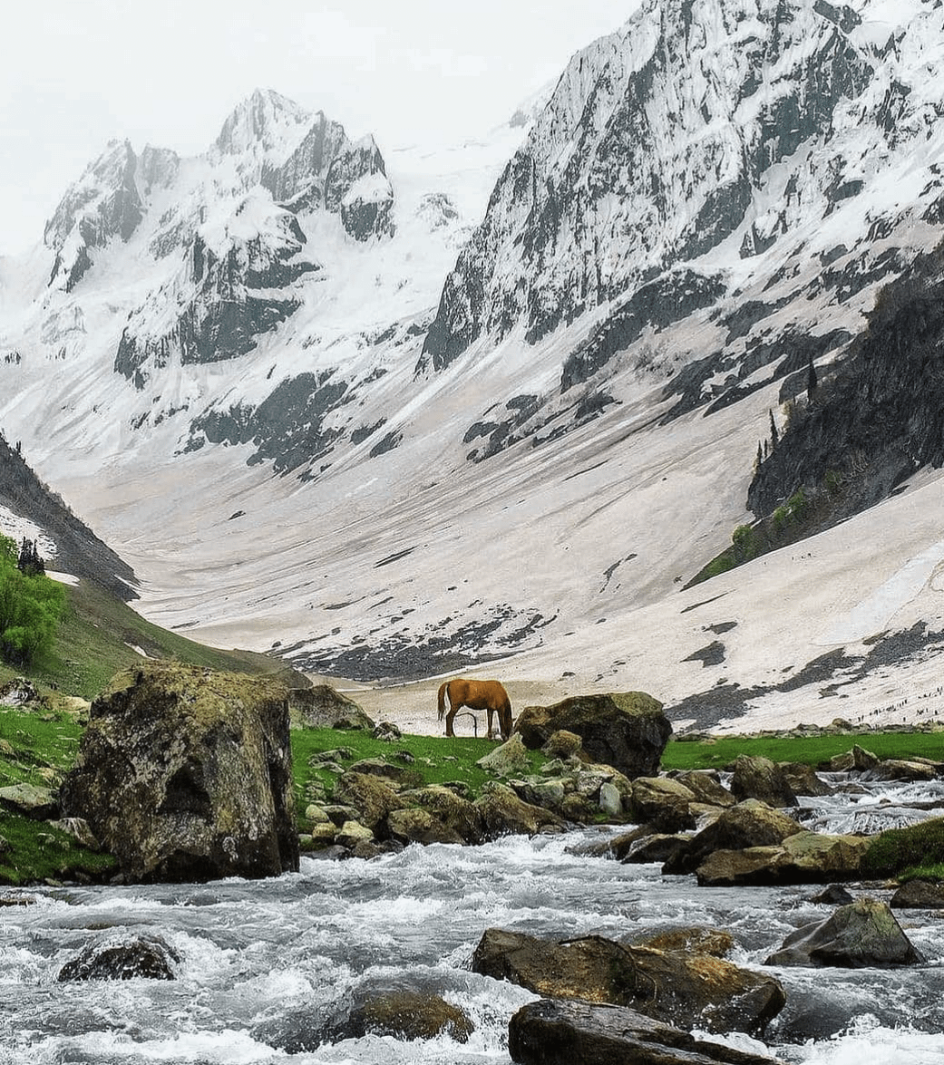 1041x1175 Feels like wallpaper, Sonamarg, Jammu And Kashmir