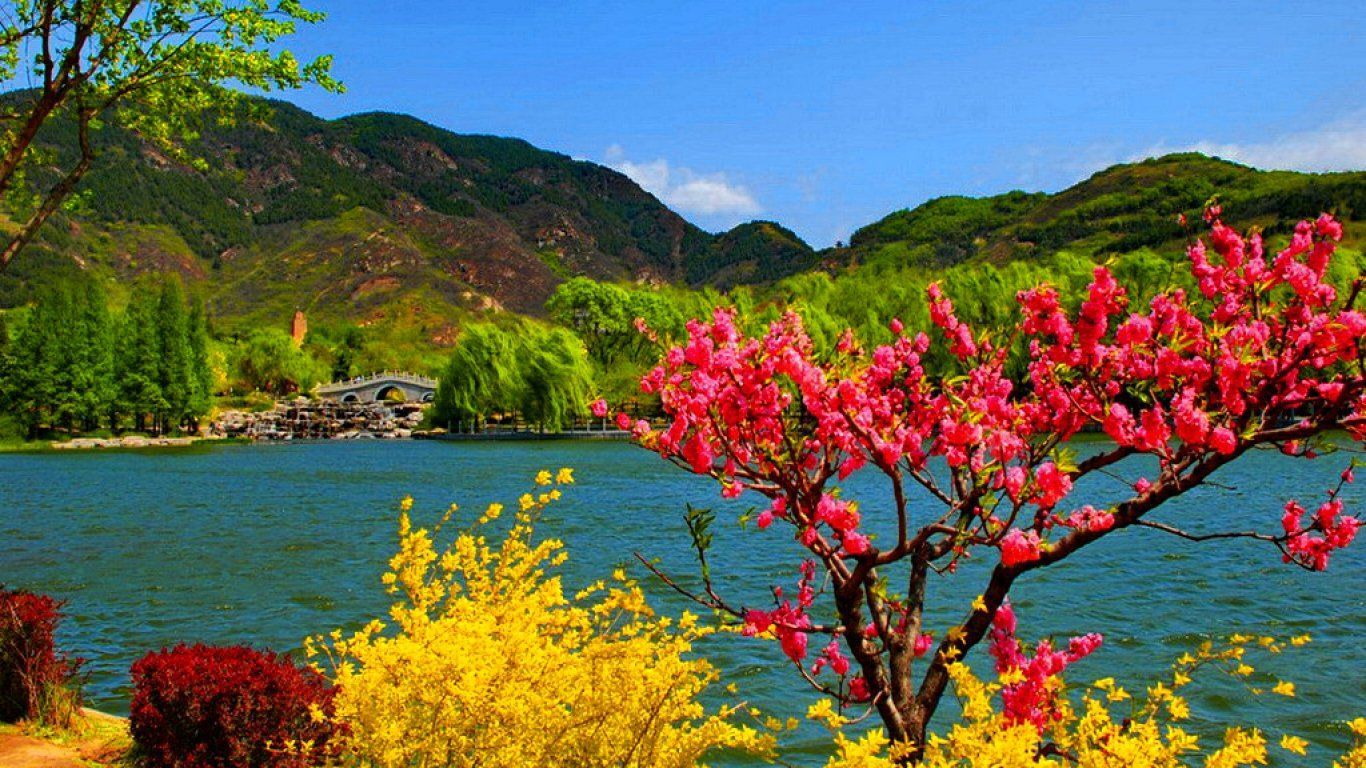 1366x768 kashmir summer
