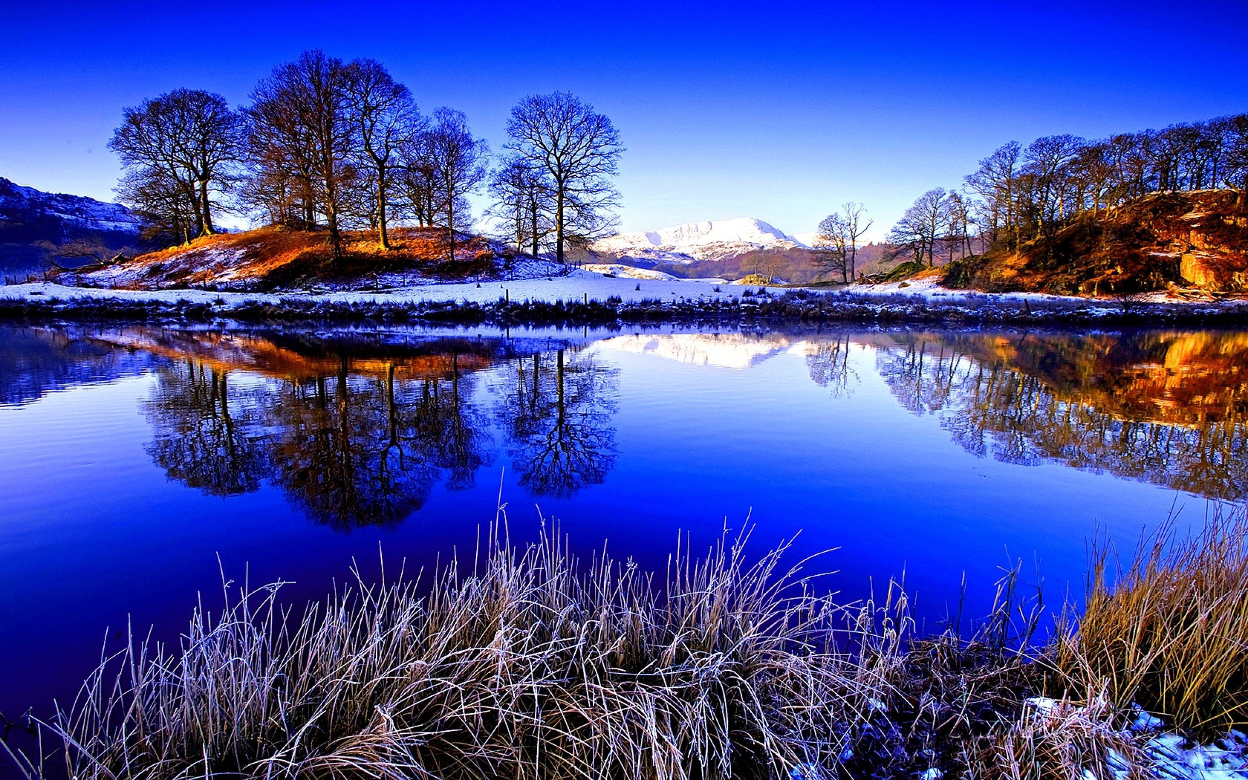 2560x1600 Nature Winter HD Wallpaper