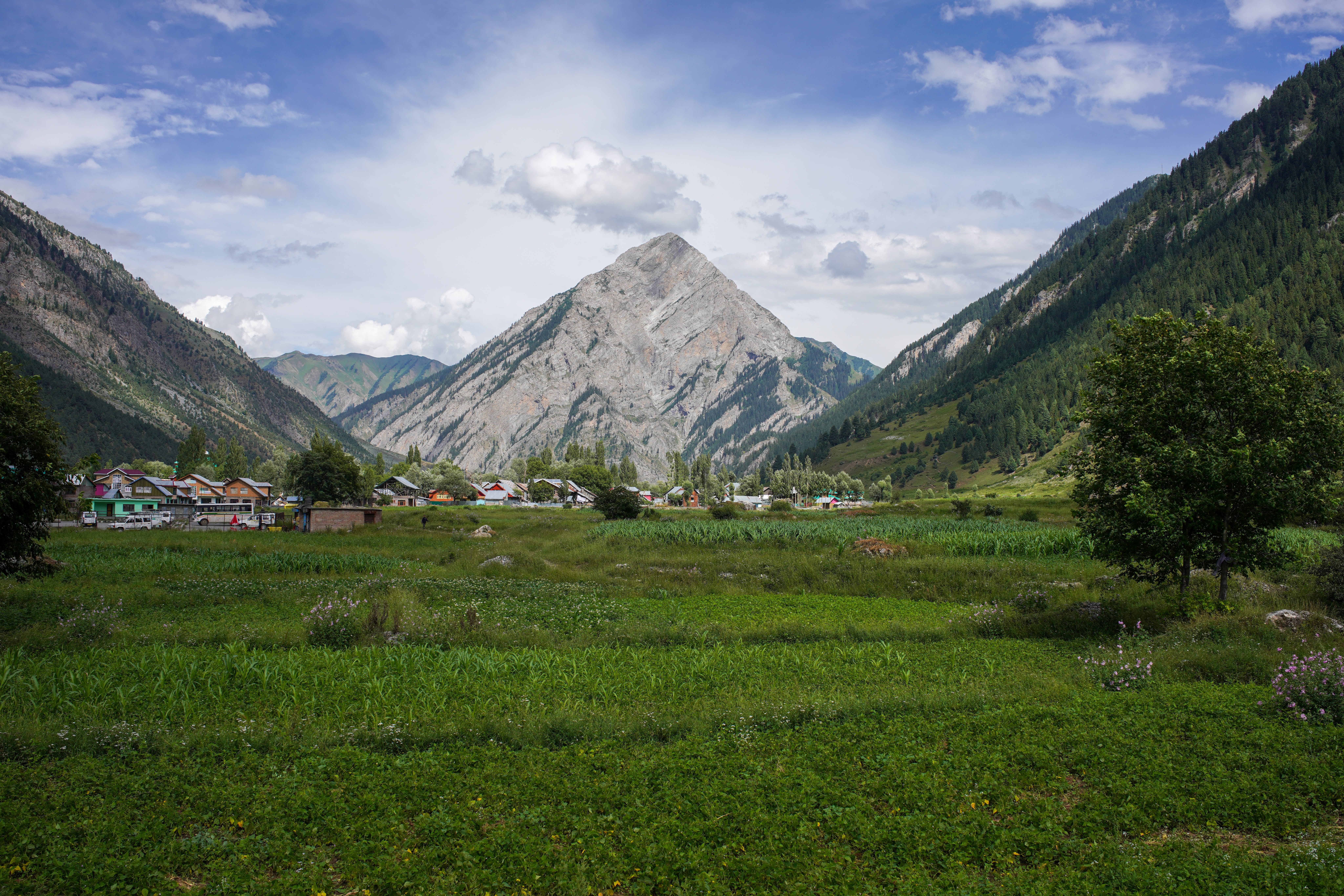 8192x5461 Jammu And Kashmir Photo, Download The BEST Free Jammu And Kashmir & HD Image