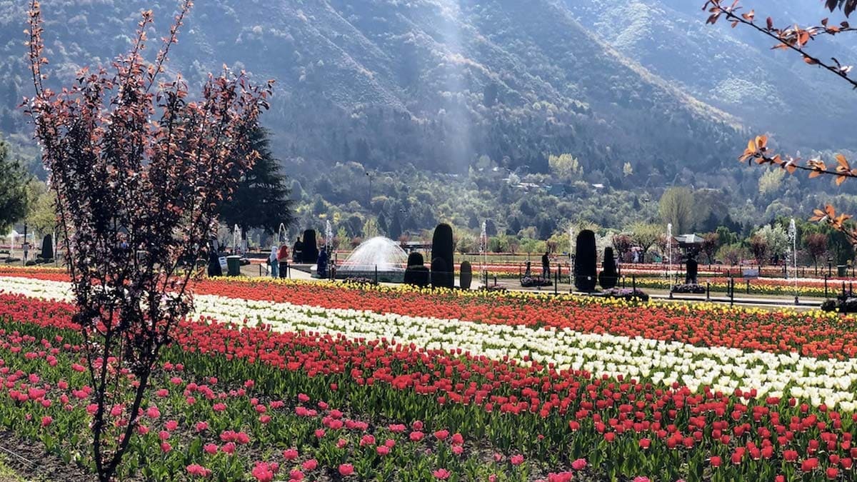 1200x675 Places To Visit In Jammu And Kashmir For A Magical Winter Holiday To End 2022