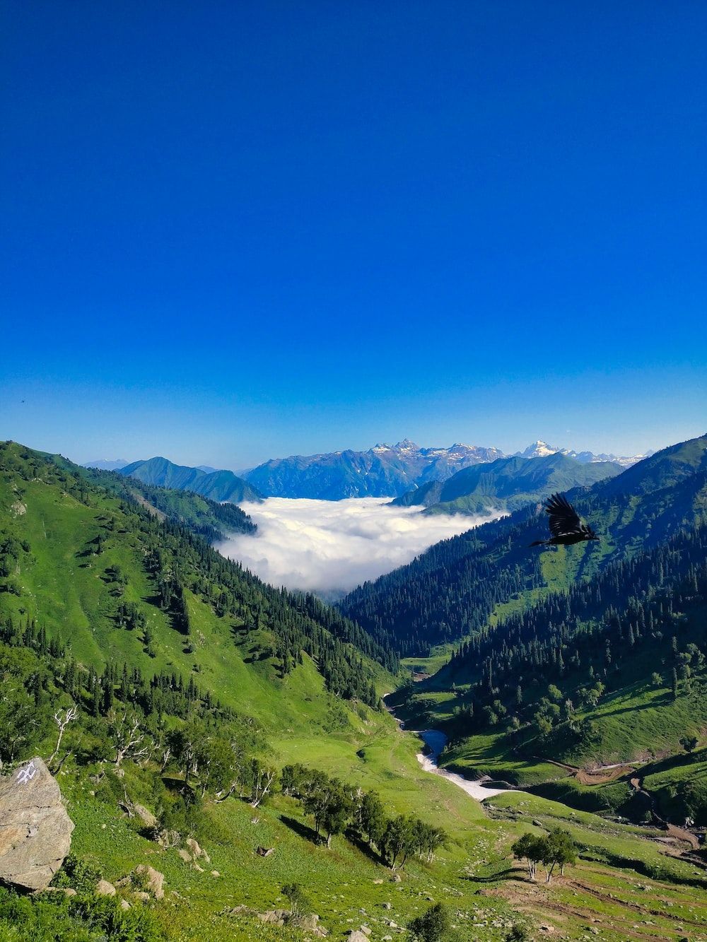 1000x1333 Green mountains under blue sky during daytime photo