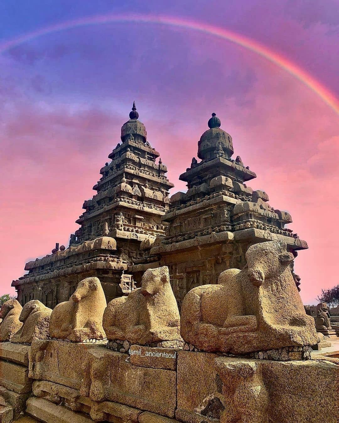 1080x1350 Shore Temple, Mahabalipuram. Temple photography, Temple, Temple architecture