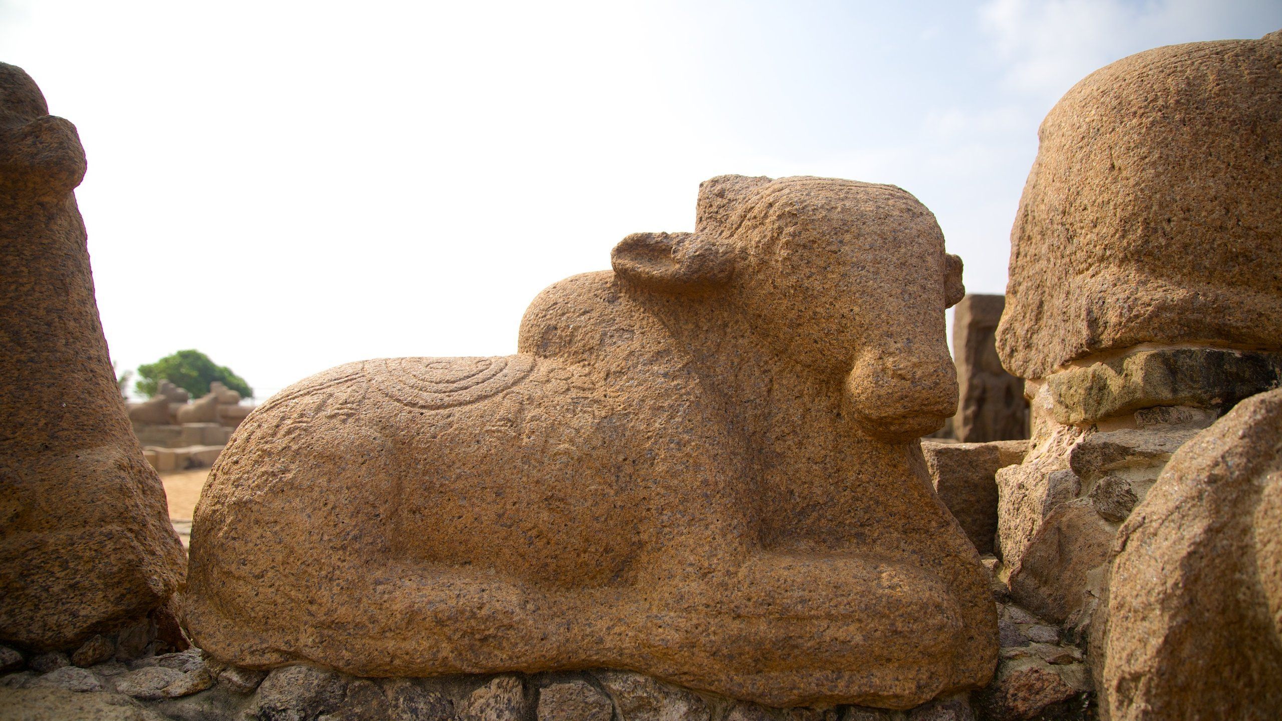 2560x1440 Visit Mahabalipuram: 2023 Travel Guide for Mahabalipuram, Chennai