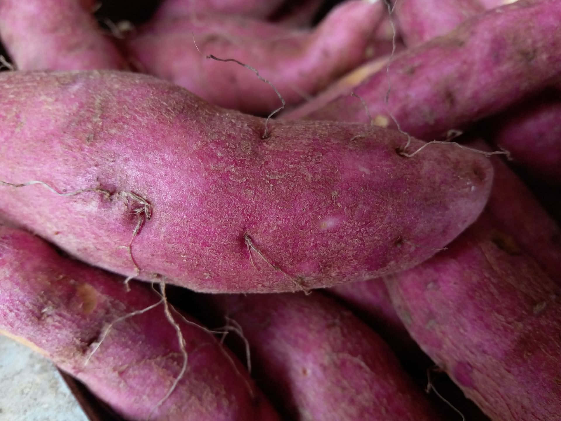 1920x1440 Download Enjoy Delicious and Nutritious Purple Sweet Potato Wallpaper