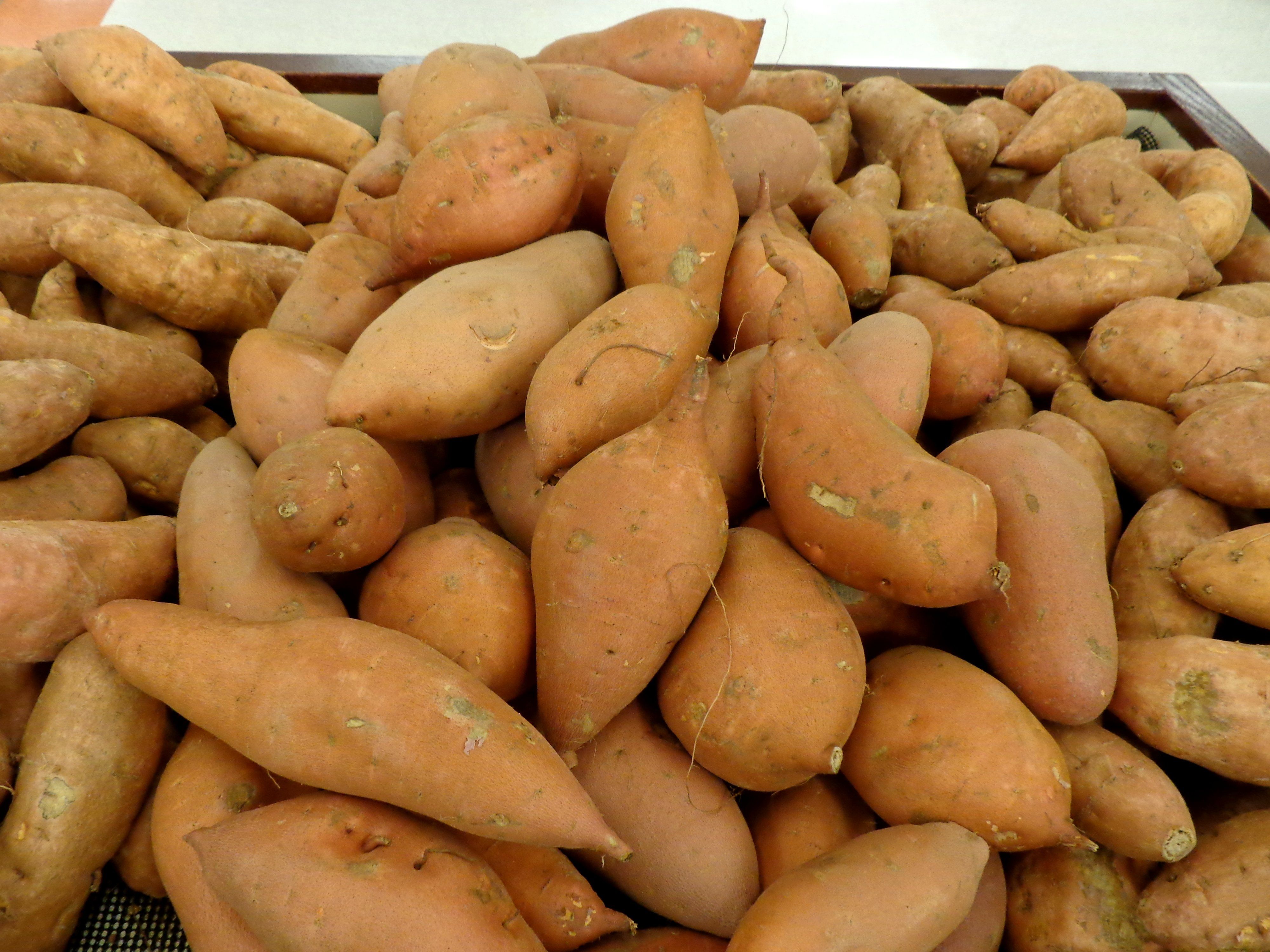 4000x3000 Yams and Sweet Potatoes Picture. Free Photograph. Photo Public Domain