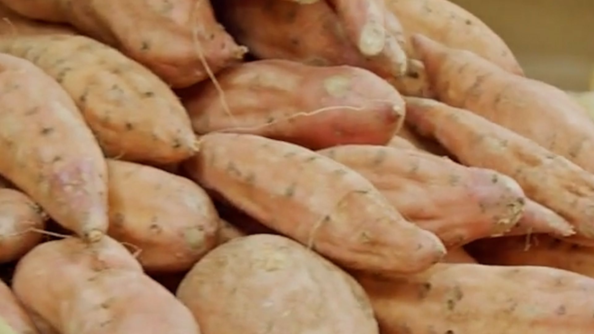 1920x1080 Sweet Potatoes or Yams?