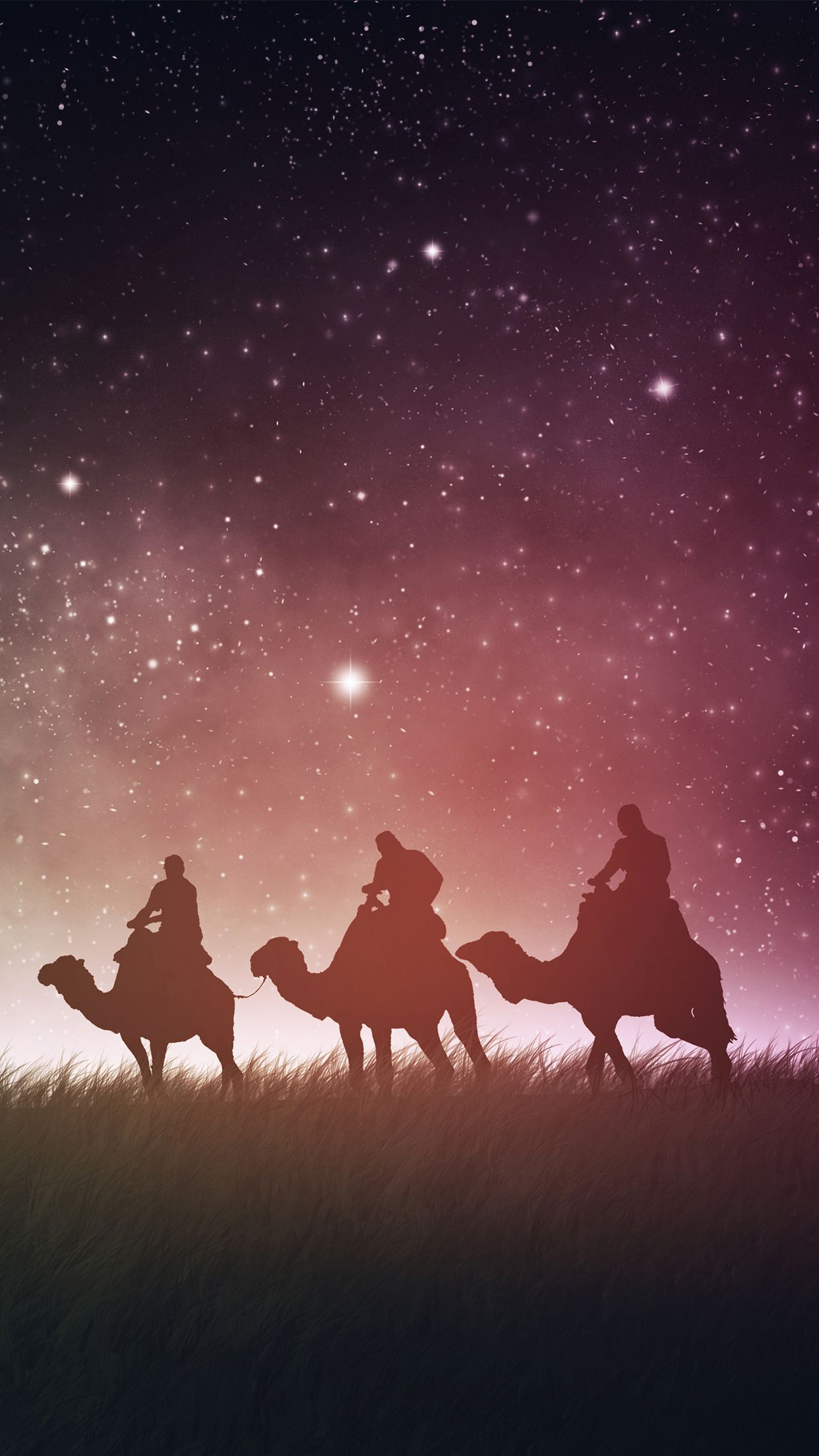 1242x2208 Wednesday Wallpaper: When They Saw the Star