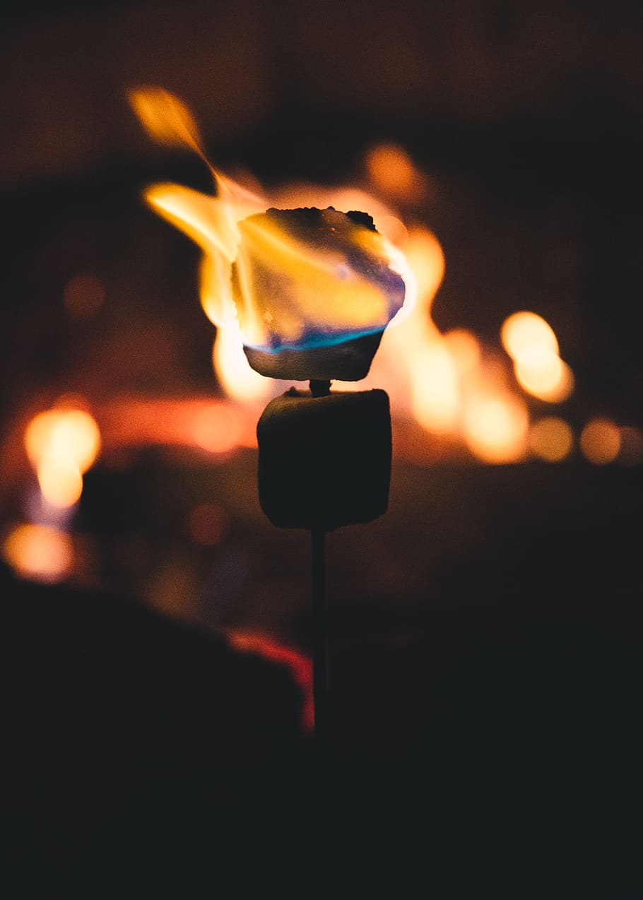 910x1274 HD wallpaper: united states, virginia, fall, smores, s'mores, fire, marshmallow