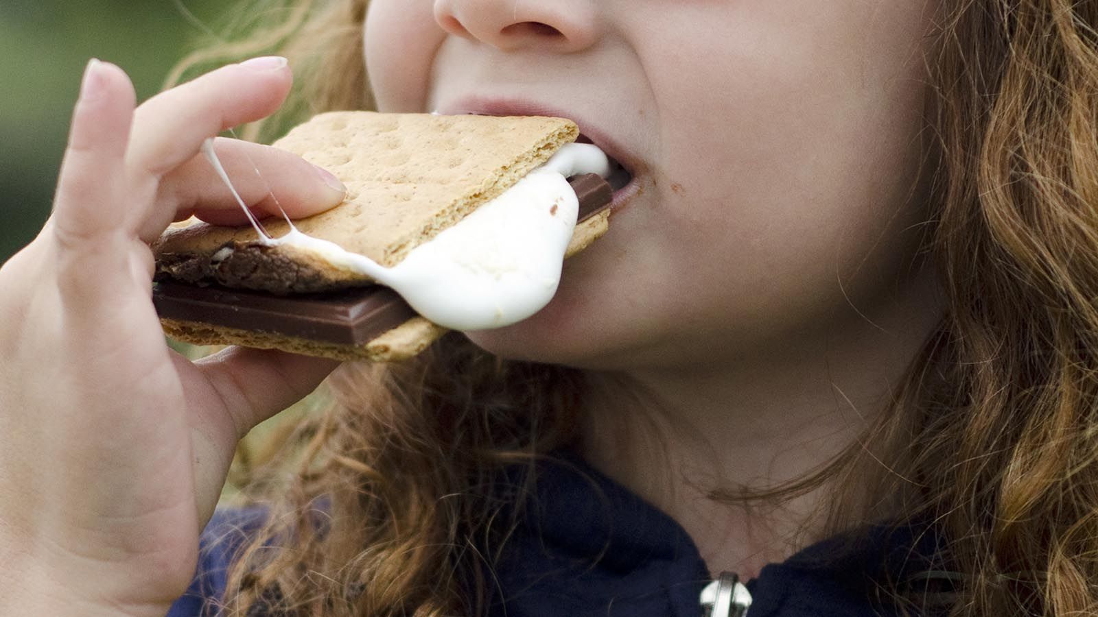 1600x900 Everything You Ever Wanted to Know About S'mores