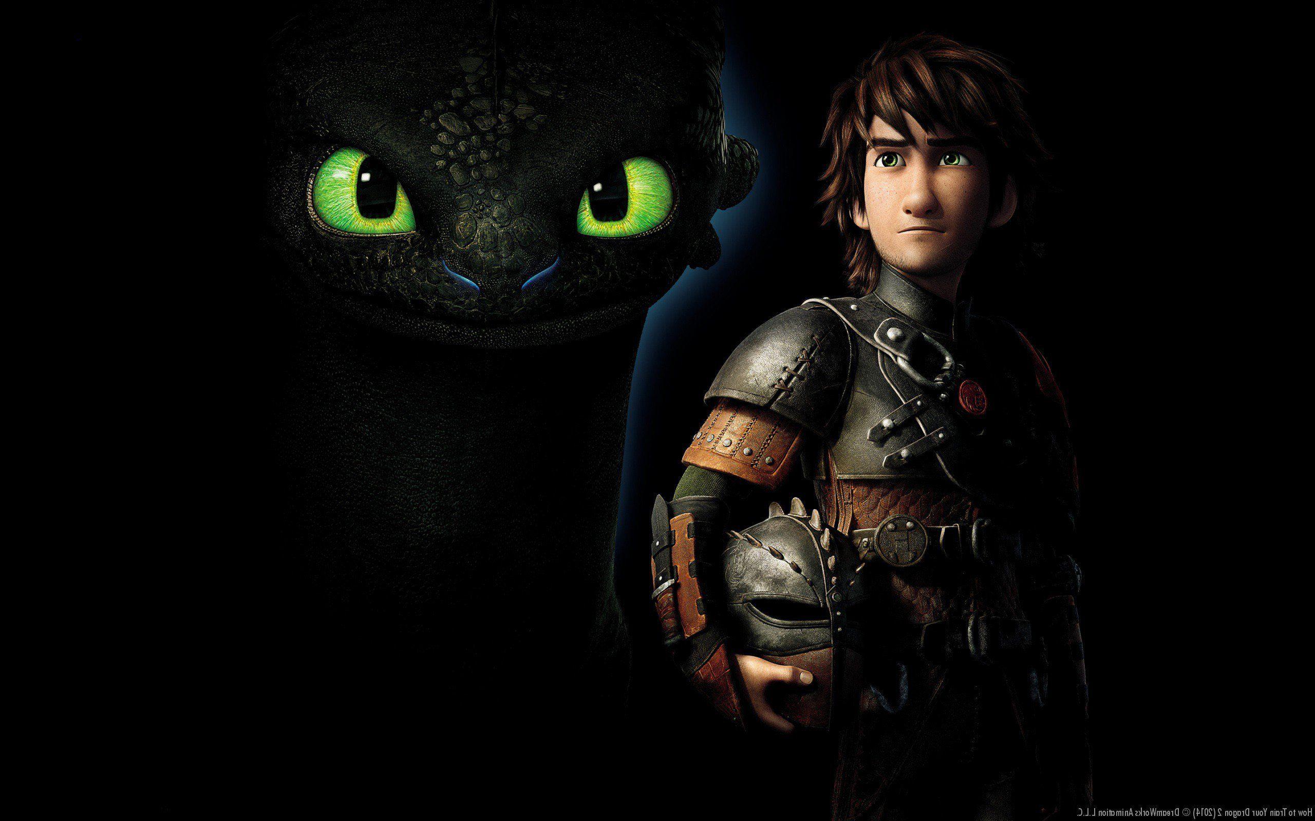 2560x1600 How To Train Your Dragon HD 2560x1600 Resolution