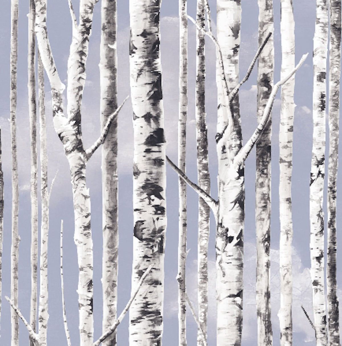 1200x1211 Trees Peel and Stick Wallpaper