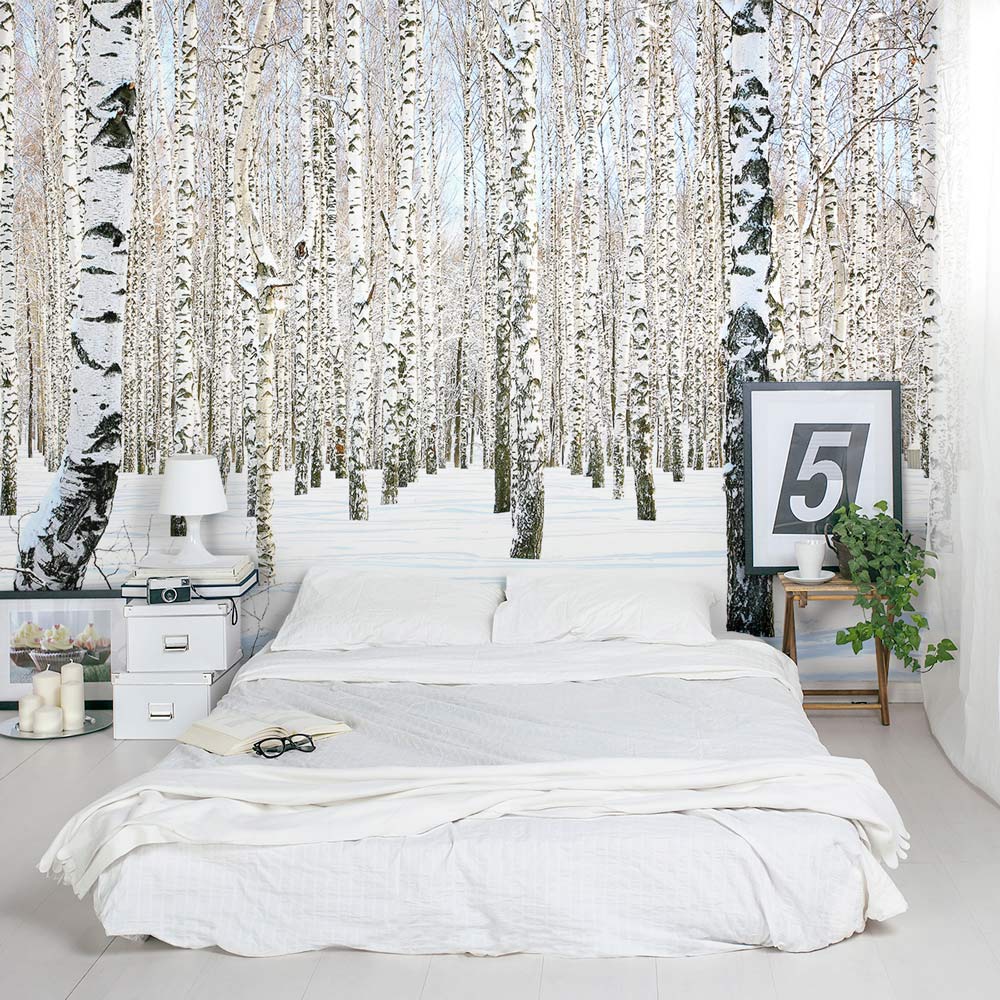 1000x1000 Birch Tree Wall Mural. Removable Winter Birch Tree Wallpaper