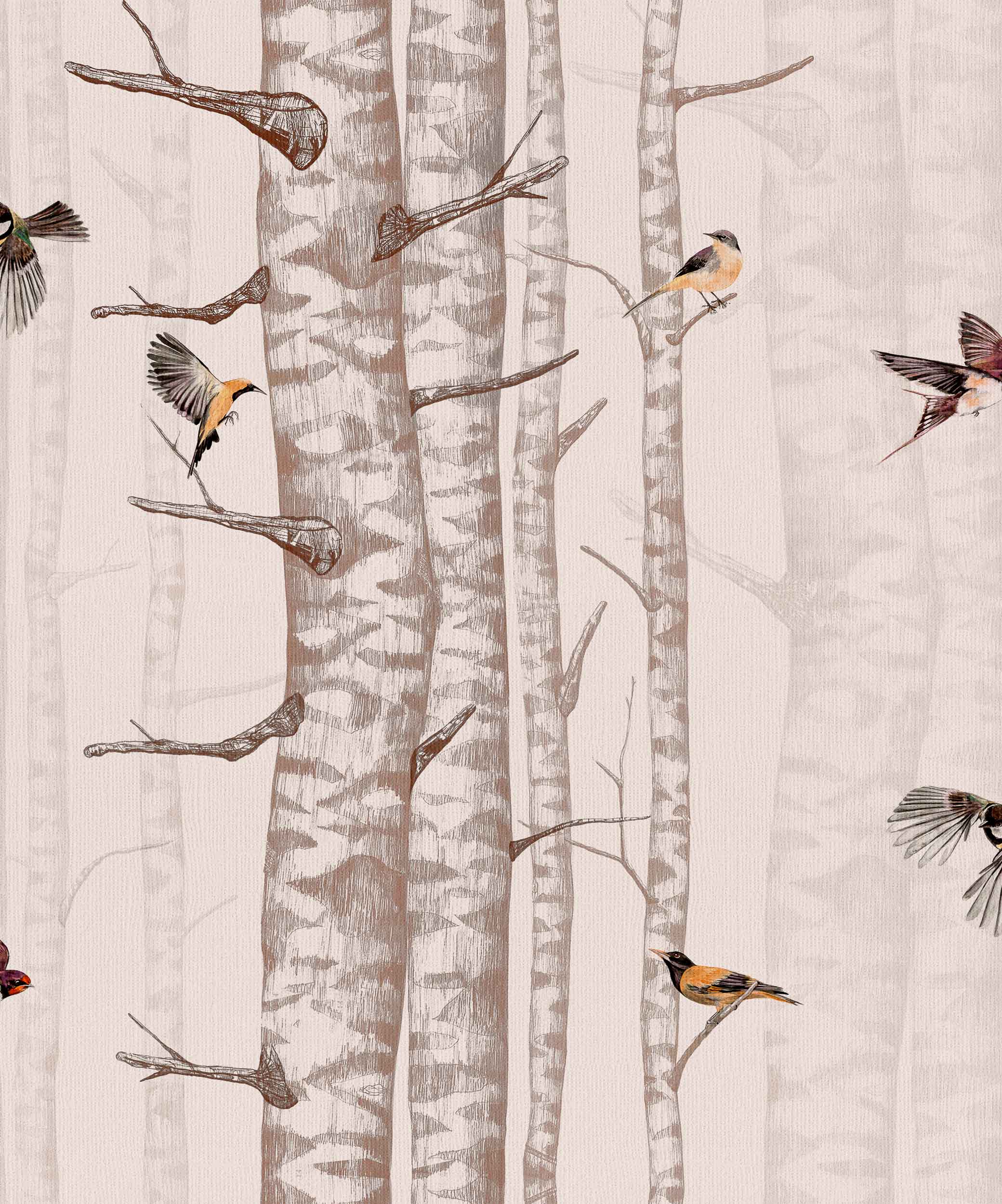 Birch Trees Wallpapers Top Free Birch Trees Backgrounds WallpaperAccess