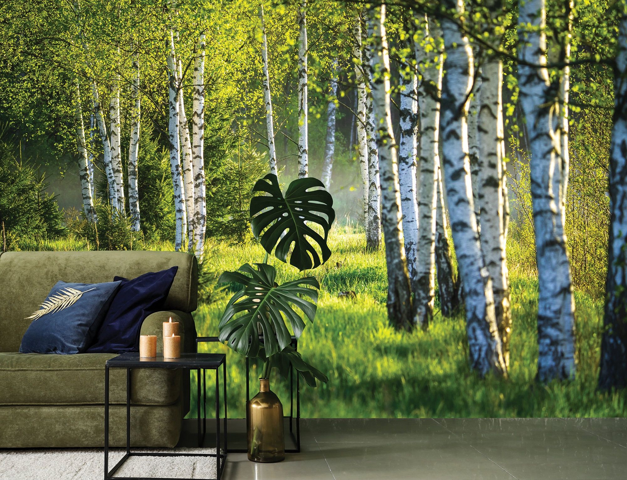 Birch Trees Wallpapers Top Free Birch Trees Backgrounds WallpaperAccess