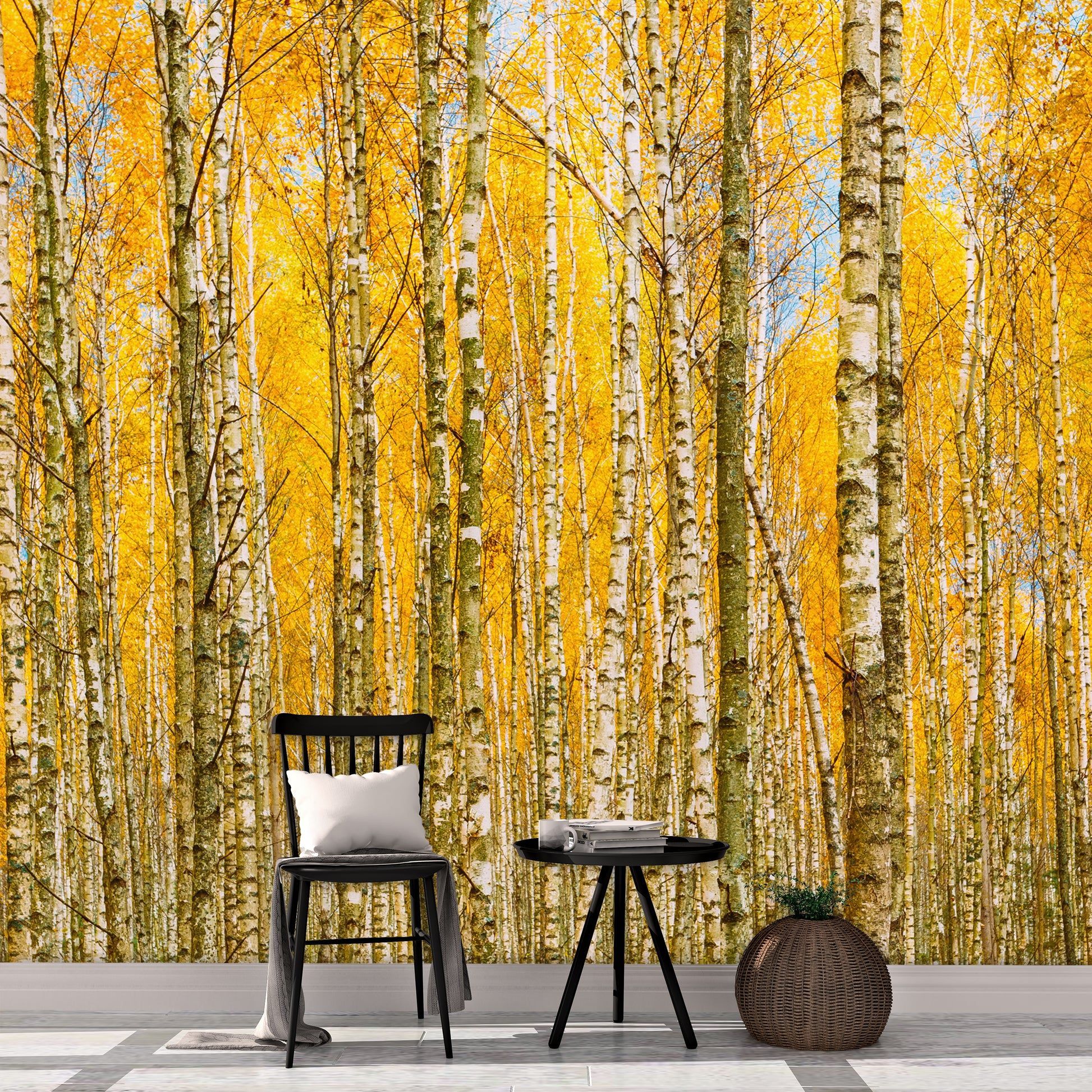 Birch Trees Wallpapers Top Free Birch Trees Backgrounds WallpaperAccess