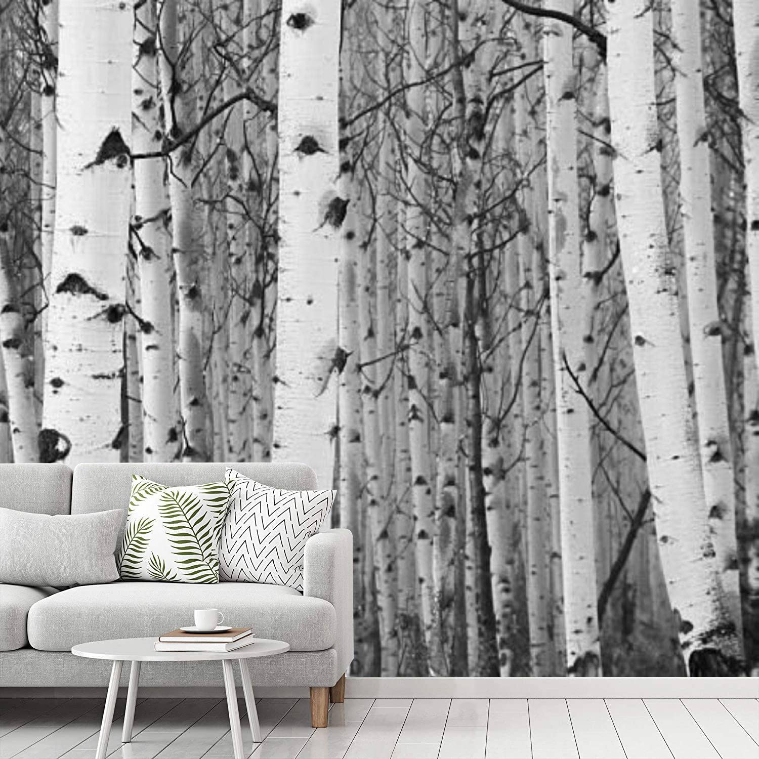 Birch Trees Wallpapers - Top Free Birch Trees Backgrounds - WallpaperAccess