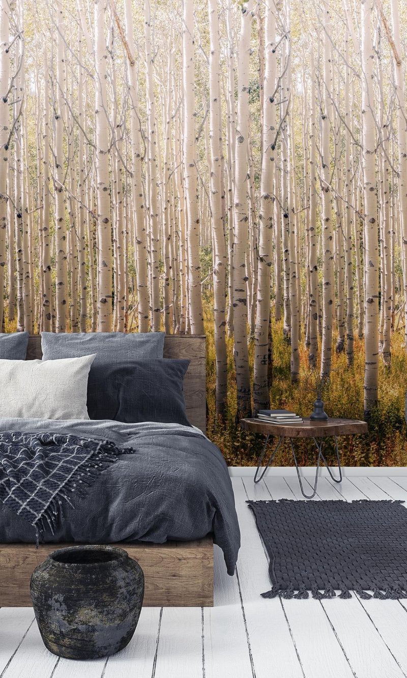 800x1333 Birch Tree Forest Digital Wallpaper RM2038