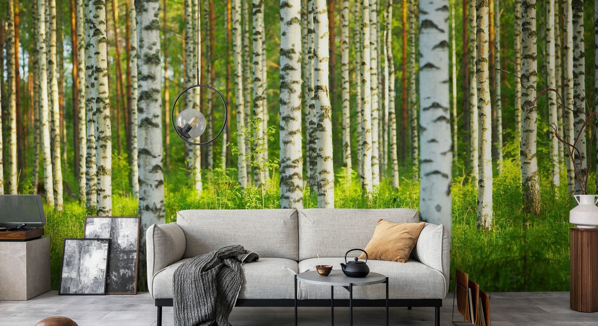 2000x1090 Birch Forest