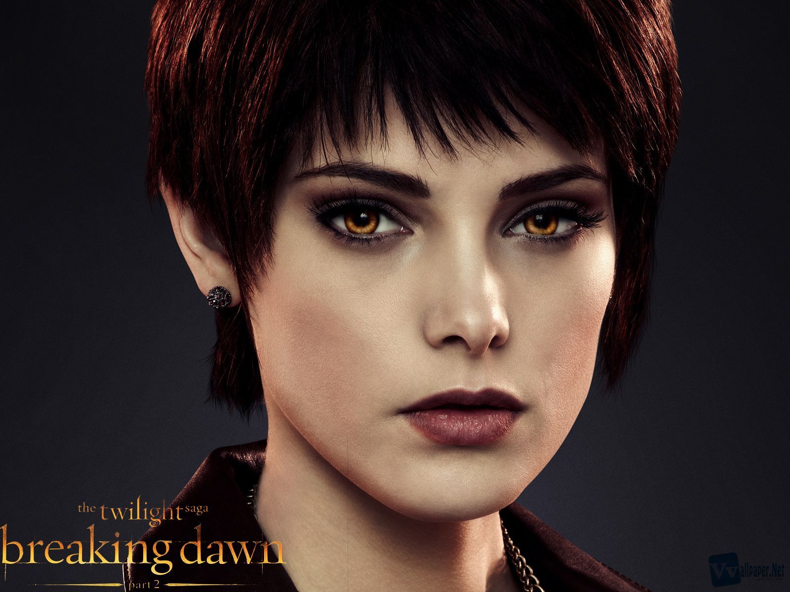 Alice Cullen Wallpapers Top Free Alice Cullen Backgrounds Alice Cullen Wallpapers Top Free Alice Cullen Backgrounds