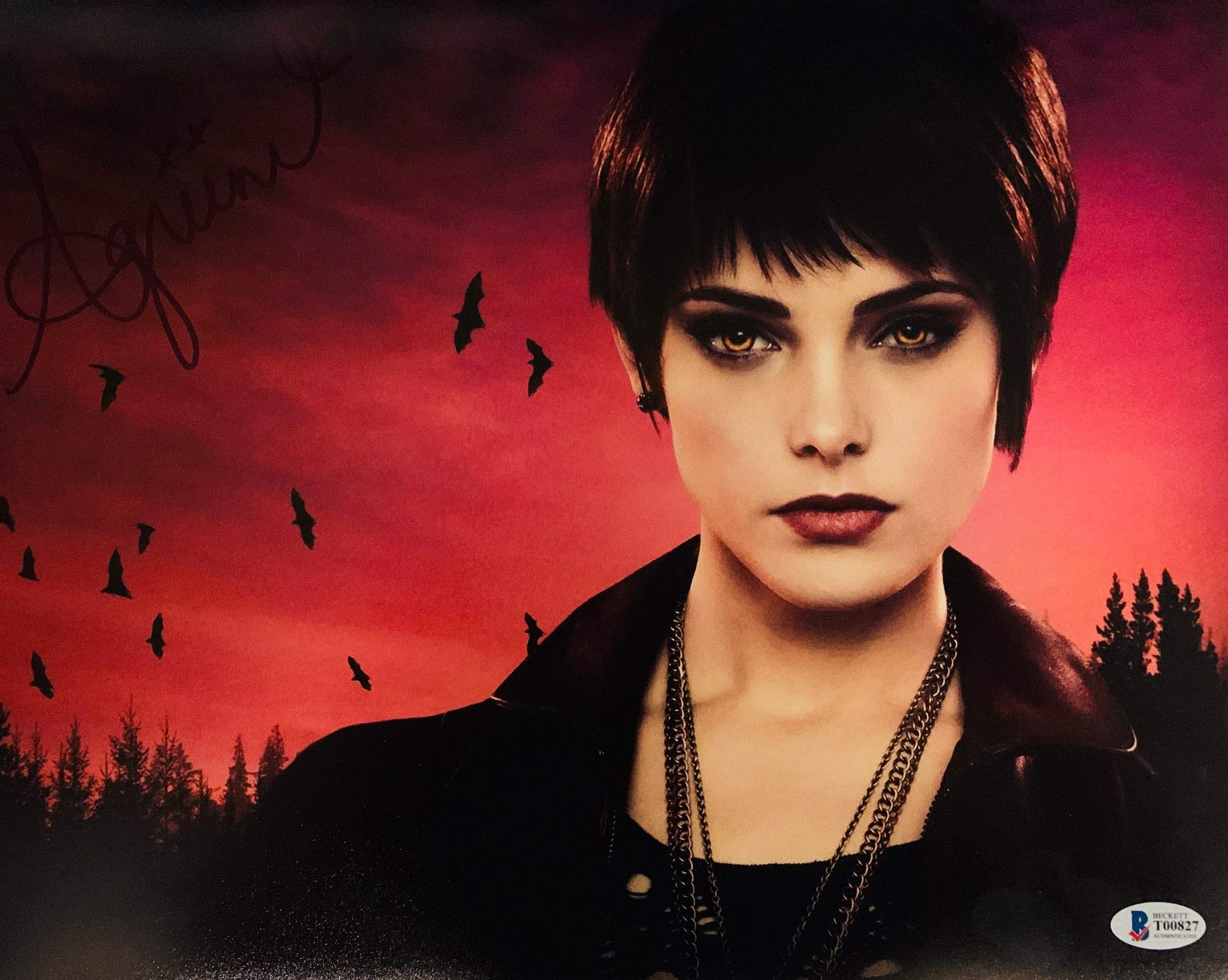 2048x1634 ASHLEY GREENE Signed 11x14 Photo ALICE CULLEN TWILIGHT BAS COA AUTOGRAPH at Amazon's Entertainment Collectibles Store