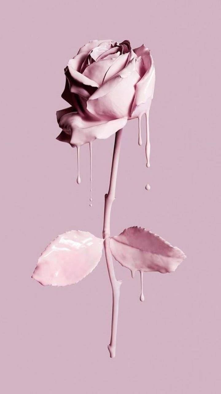 720x1280 pink pastel petal Wallpaper