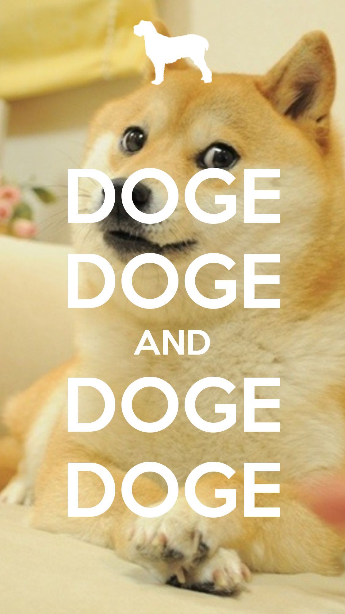 1125x2000 Such funny Very laugh Wow. Doge, Doge meme, Corgi wallpaper