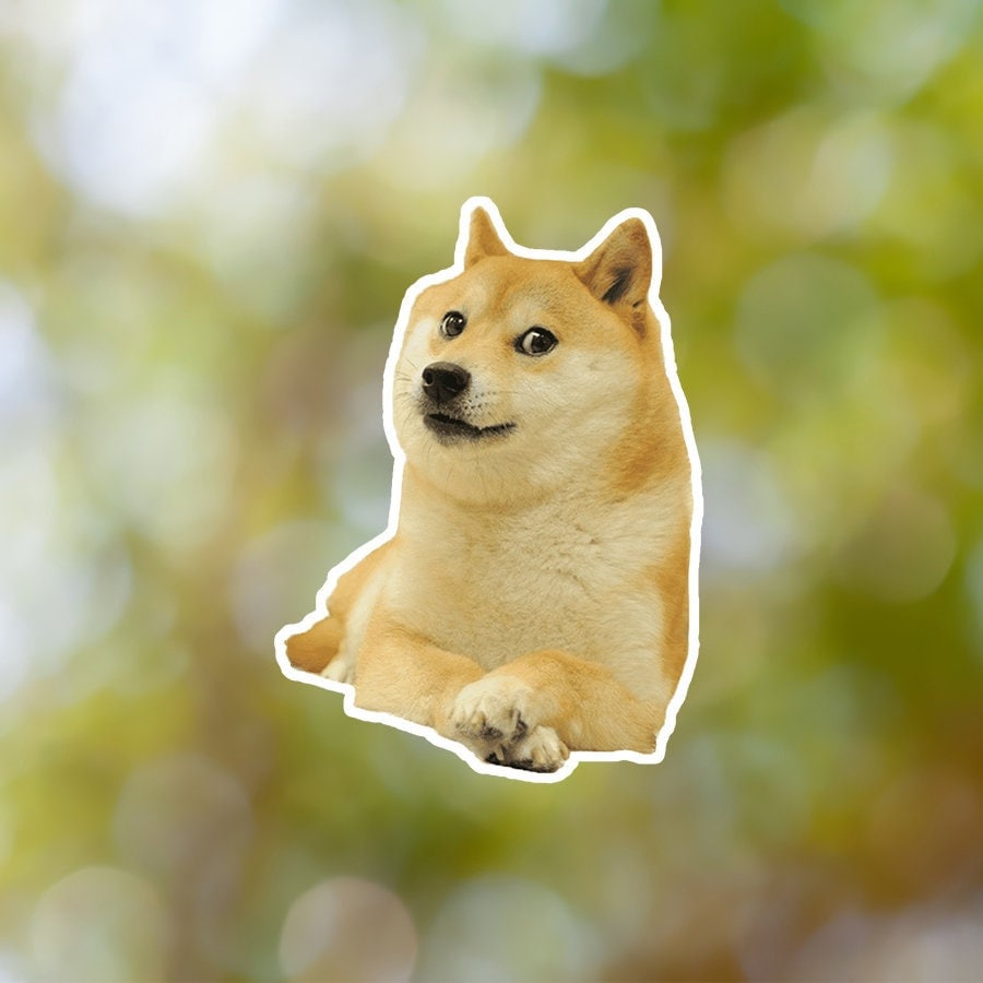 Doge Roblox Wallpapers - Top Free Doge Roblox Backgrounds - WallpaperAccess