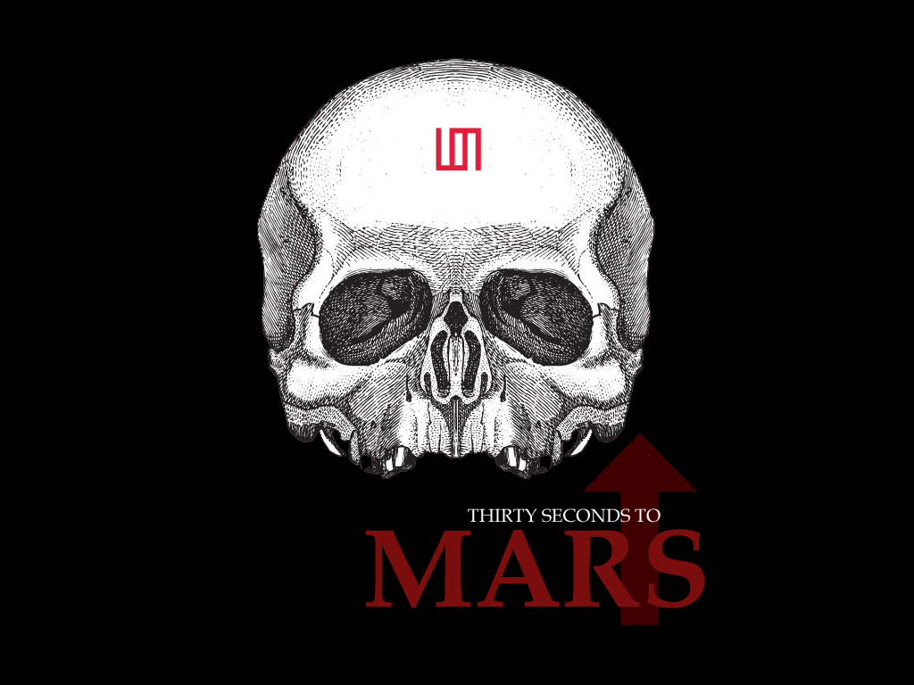 1024x768 STM Seconds To Mars Wallpaper
