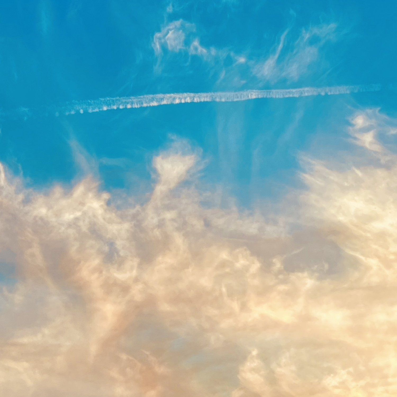 1500x1500 THIRTY SECONDS TO MARS SHARE NEW TRACK 'LIFE IS BEAUTIFUL'